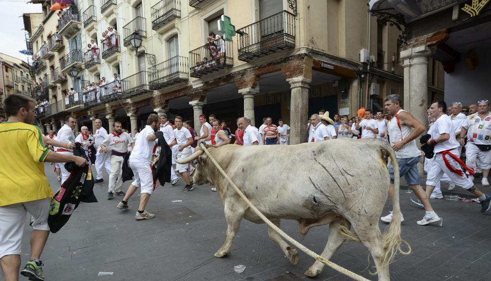 Toros ensogados en la plaza del Torico /2016-07-11/ Foto Jorge Escudero