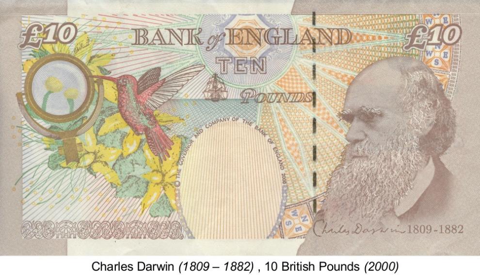 Los colibríes sobran en el billete de 10 libras alusivo a Darwin.
