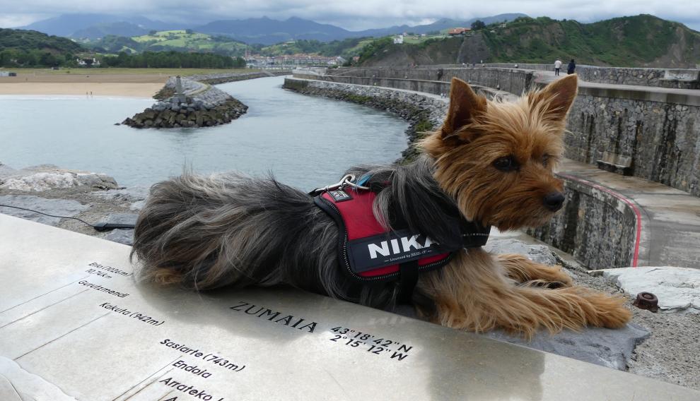 Nika, en Zumaia, una de las localidades que hay que visitar si vamos a San Sebastián.