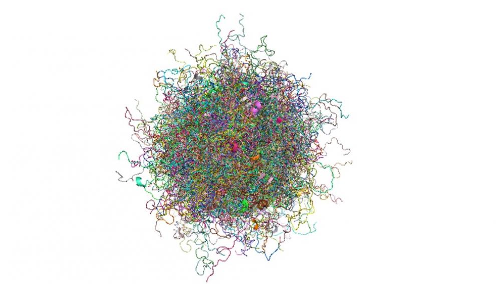Alfa-sinucleína, proteína dúctil con múltiples estados conformacionales implicada en el párkinson