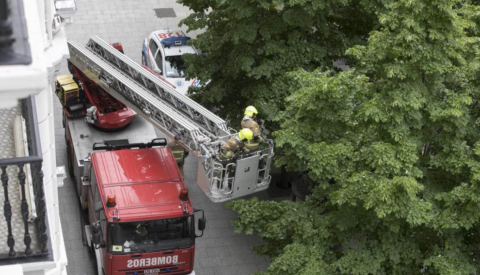 Los Bomberos de Zaragoza han retirado varias ramas del paseo de Independencia ante la amenaza de que cayeran por las fuertes rachas de viento y la lluvia de este viernes.