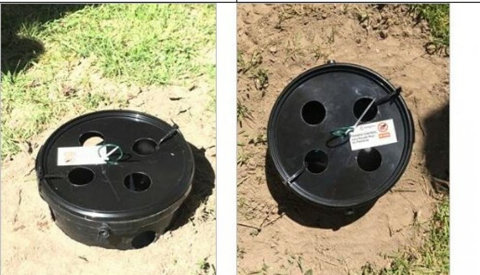 Algunas de las trampas colocadas en diferentes zonas verdes de Zaragoza