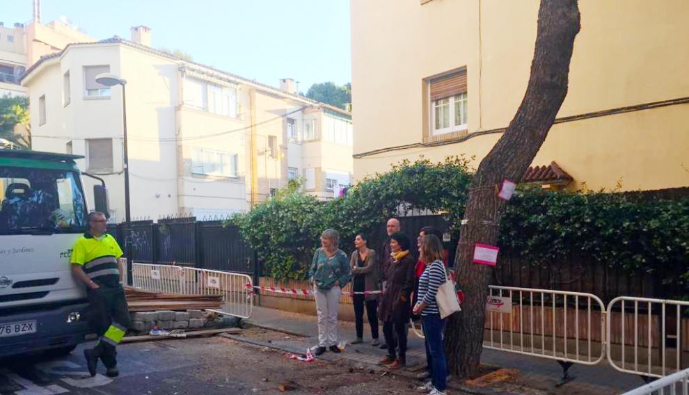 Familias del colegio Basilio Paraíso concentrados ante los pinos para evitar su tala.