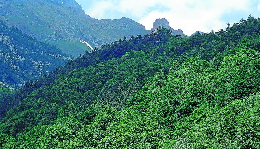 Parador en Bielsa (Huesca).