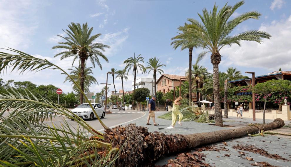 El temporal de lluvia ha provocado inundaciones, derrumbes y caída de palmeras siendo la población de Vilanova i la Geltrú y su paseo marítimo los más afectados.