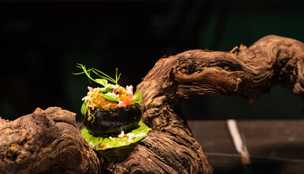 'Mi querida tierra', tapa de Alejandro Viñal, de Nola Gras.