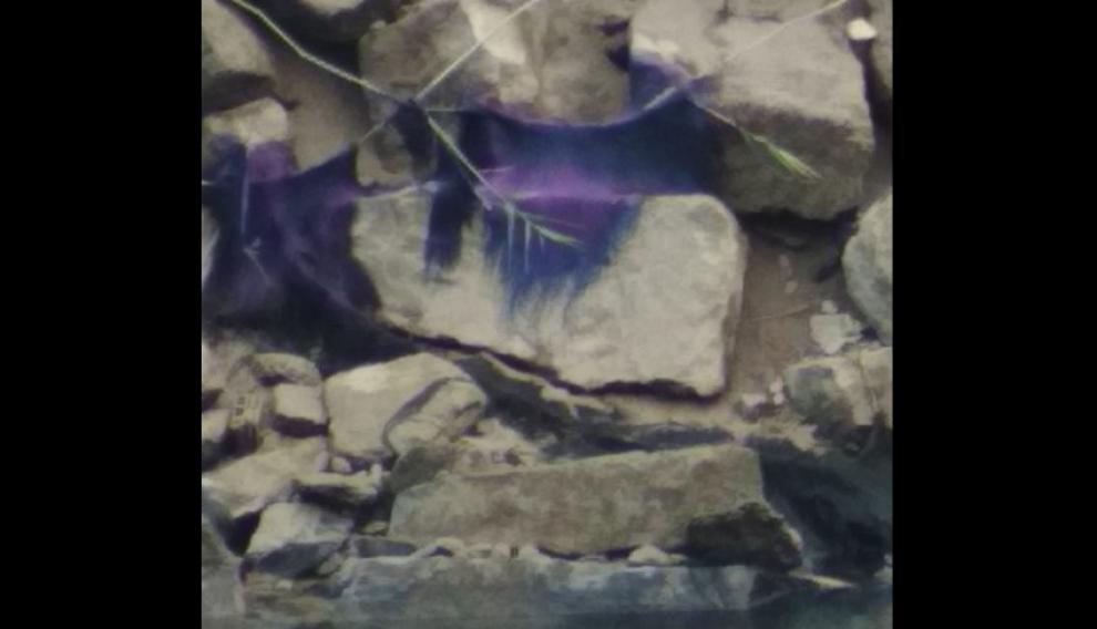 Detalle de las algas de color morado en una fotografía tomada el lunes por la mañana.