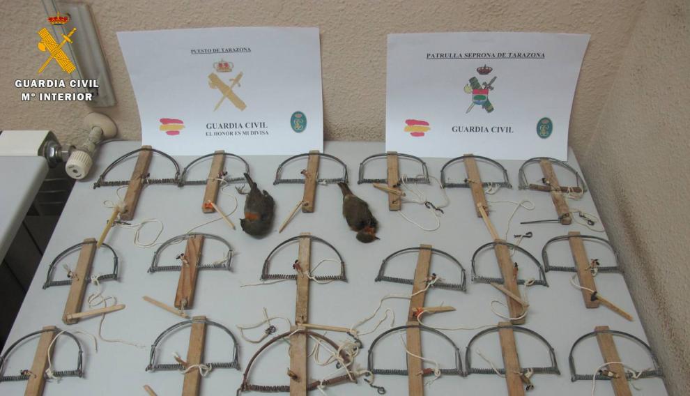 Cepos intervenidos por la Guardia Civil.