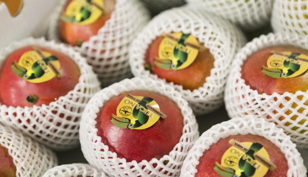 Mangos en un puesto de Mercazaragoza.