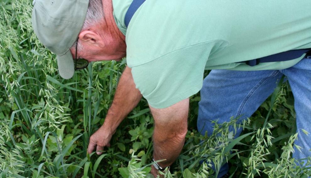 Un agricultor en el campo aragonés.