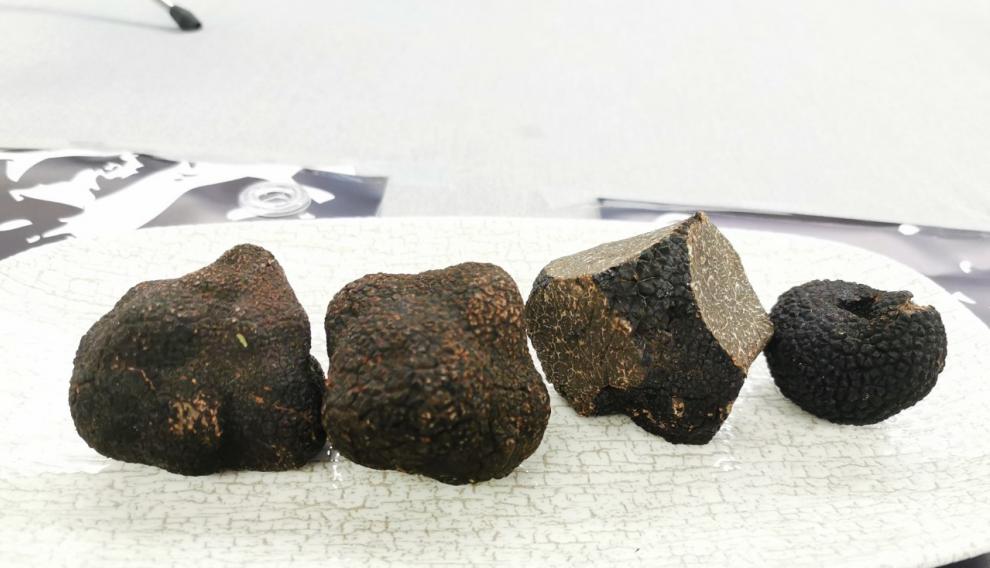 este oro negro que ya recolectan 14 productores de la Comarca de la Jacetania