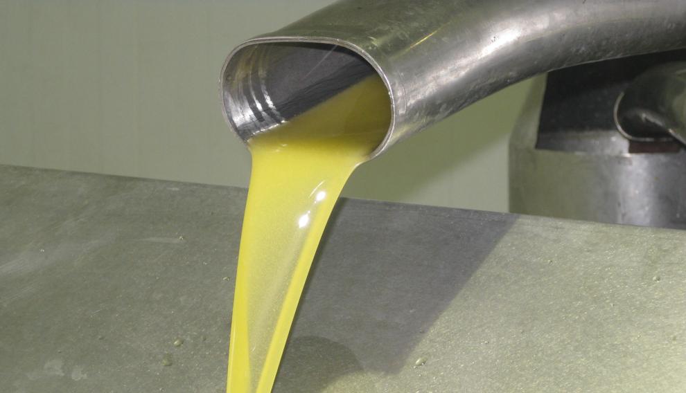 Decantación de aceite de oliva en la almazara de Aceites Impelte del Bajo Martín.
