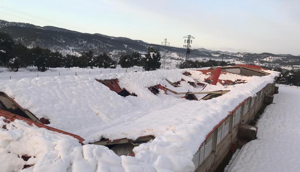Una explotación cubierta de nieve en la provincia turolense.
