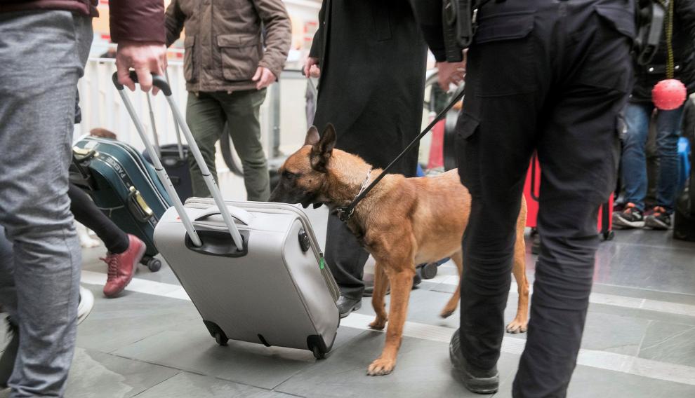Unidad canina de la Policía Nacional.
