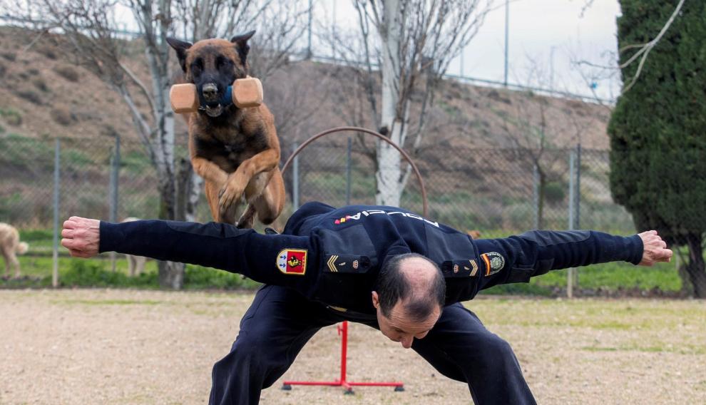 Unidad canina de la Policía Nacional.