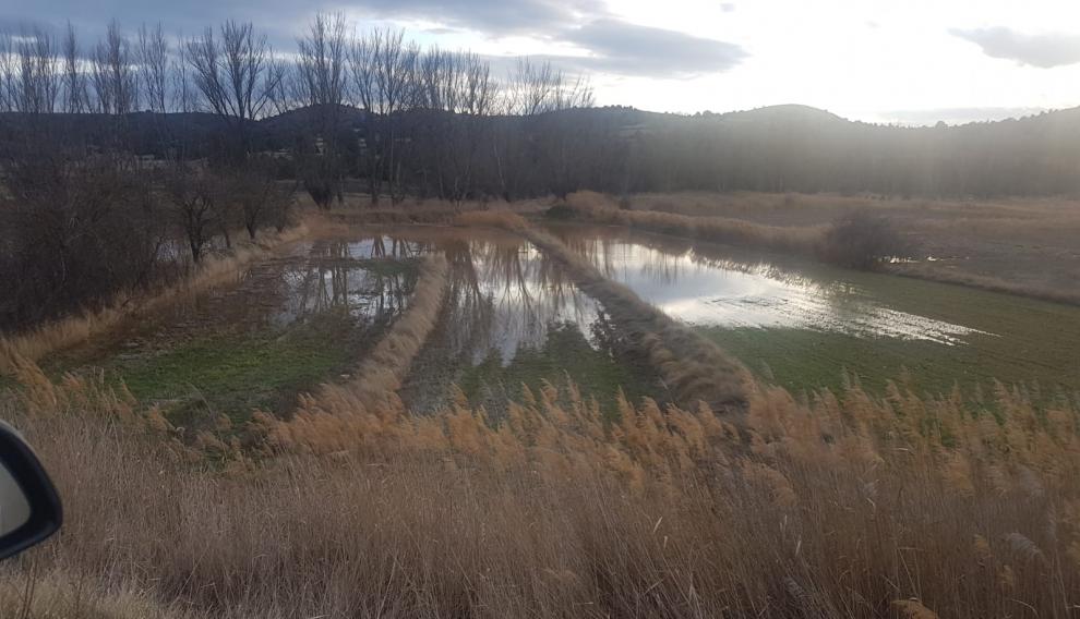 La Comunidad de Regantes de Cutanda-Calamocha pide la limpieza del cauce