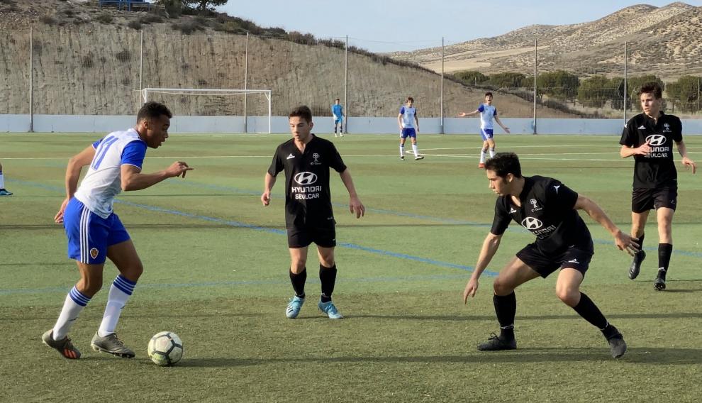 RZ - Olivar