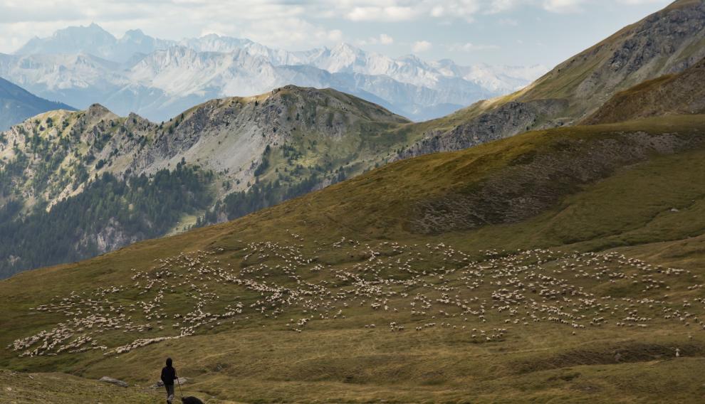 Nuria F., de 31 años, es pastora desde hace años en los Alpes franceses.