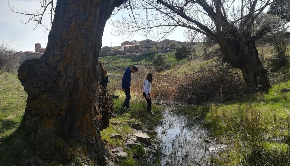 Un paisaje de Pobar y el río Vadillo, afluente del Alhama, que nace junto a su término, en abril de 2019