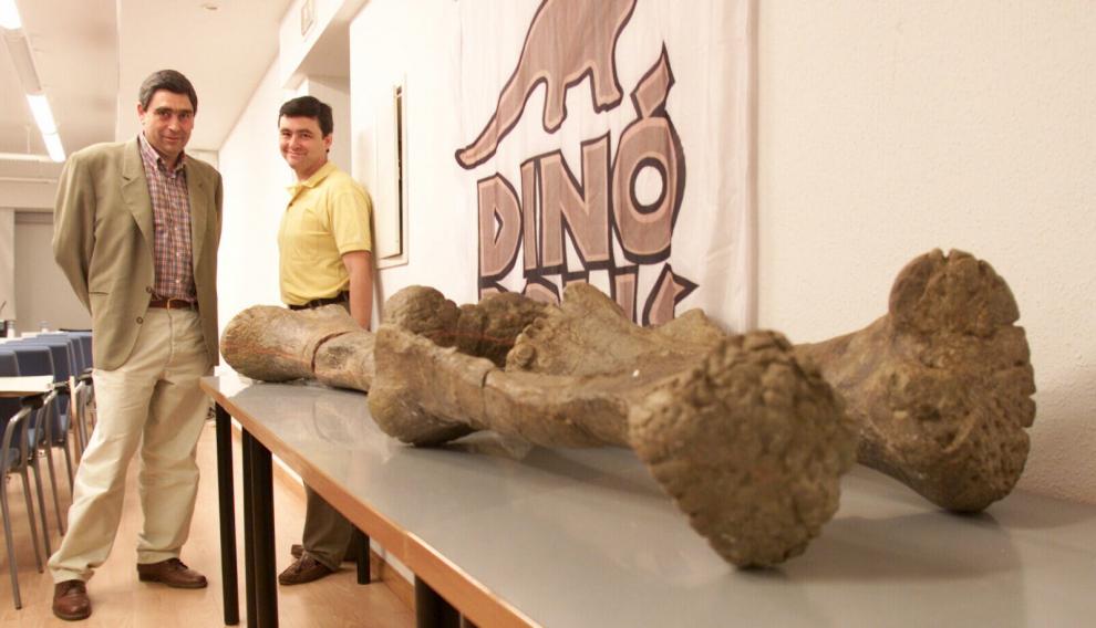 Huesos fósiles del Tastavinsaurus sanzi descubierto en Peñarroya de Tastavins.