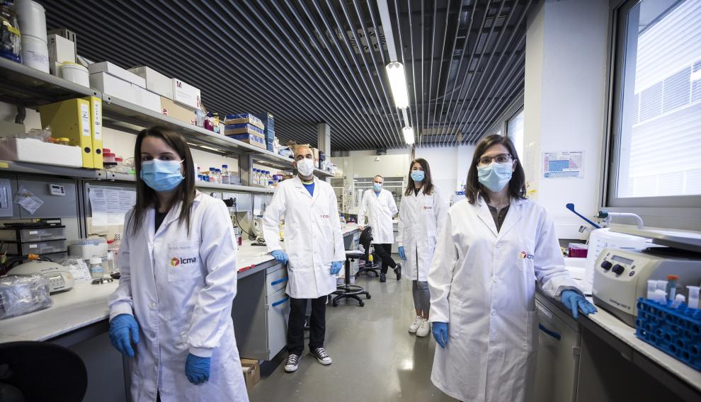 De izquierda a derecha, Beatriz Gracia, Carlos Cuestas, Jesús Martínez, Alba Martín e Isabel Mendiara, en su laboratorio en el Campus Río Ebro