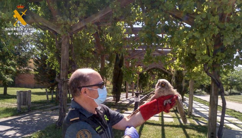 Uno de los agentes sosteniendo al animal.
