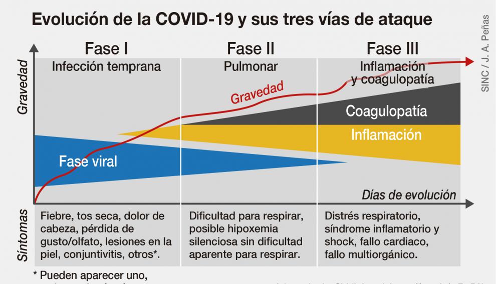 Evolución de la covid-19 y sus tres vías de ataque