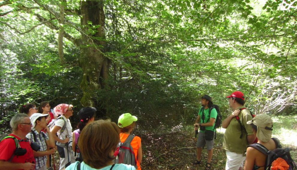 Visitas guiadas por la comarca Hoya de Huesca.