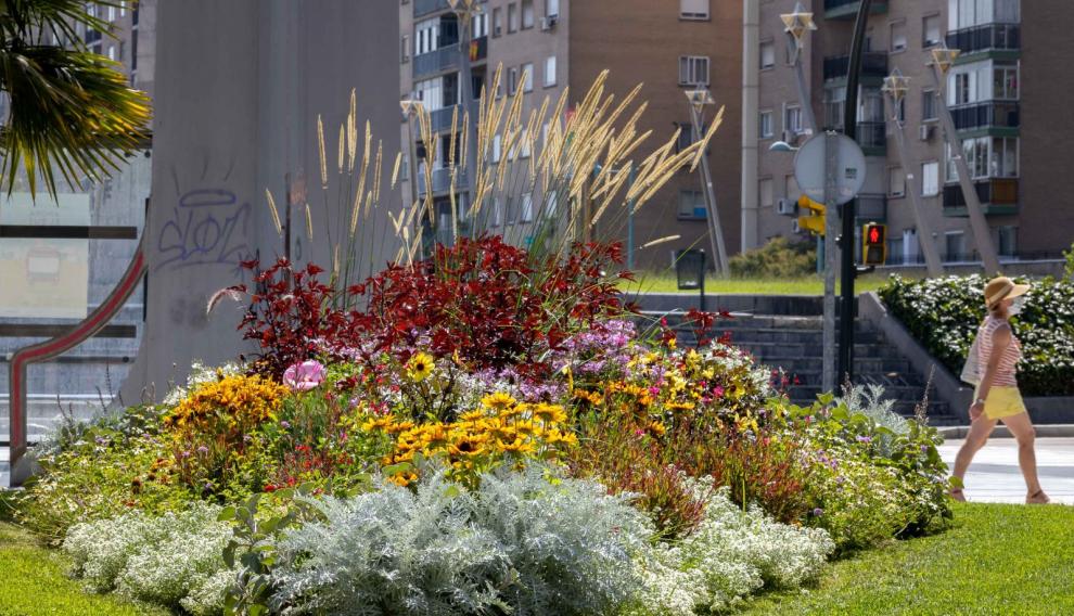 Más de 12.000 nuevas plantas con flor embellecen ya Zaragoza