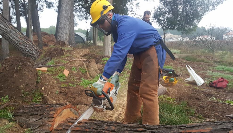 Un trabajador de Sarga cortando leña.