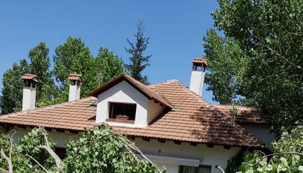 Las gruesas ramas no alcanzaron a los edificios.