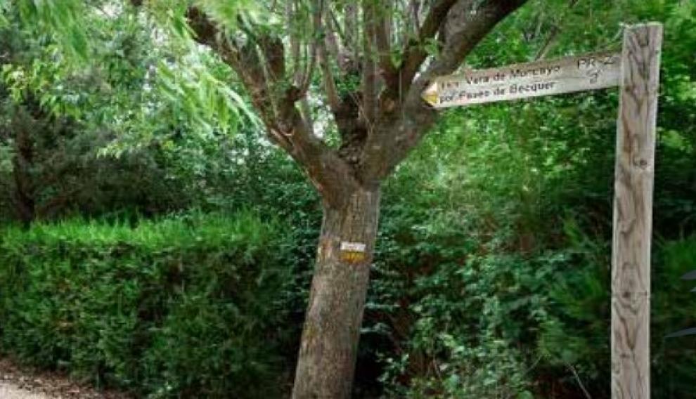 El segundo de los caminos guiados transcurre hasta Vera de Moncayo