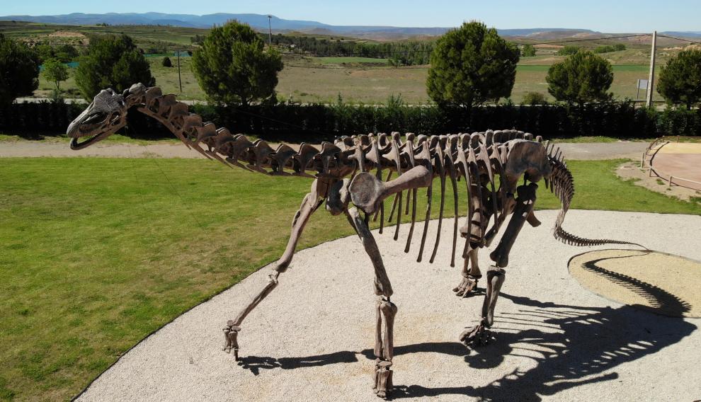 Reconstrucción del esqueleto de Turiasaurus en Dinópolis-Teruel.