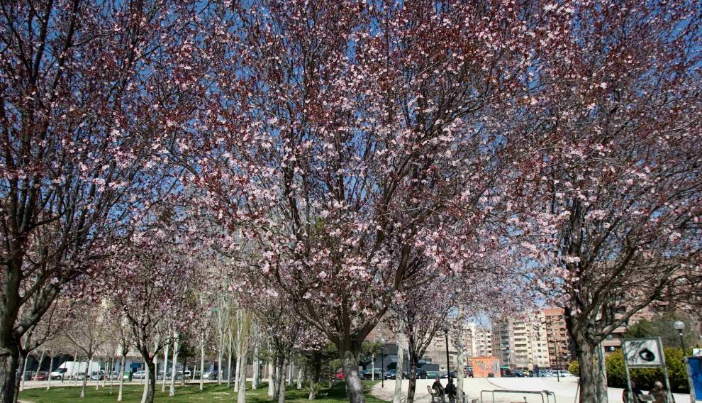 Parque de la Aljafería de Zaragoza