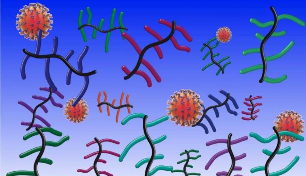 Encuentro con el SARS CoV-2: en esta ilustración, los coronavirus interactúan con las proteínas del moco en la superficie de una célula humana.