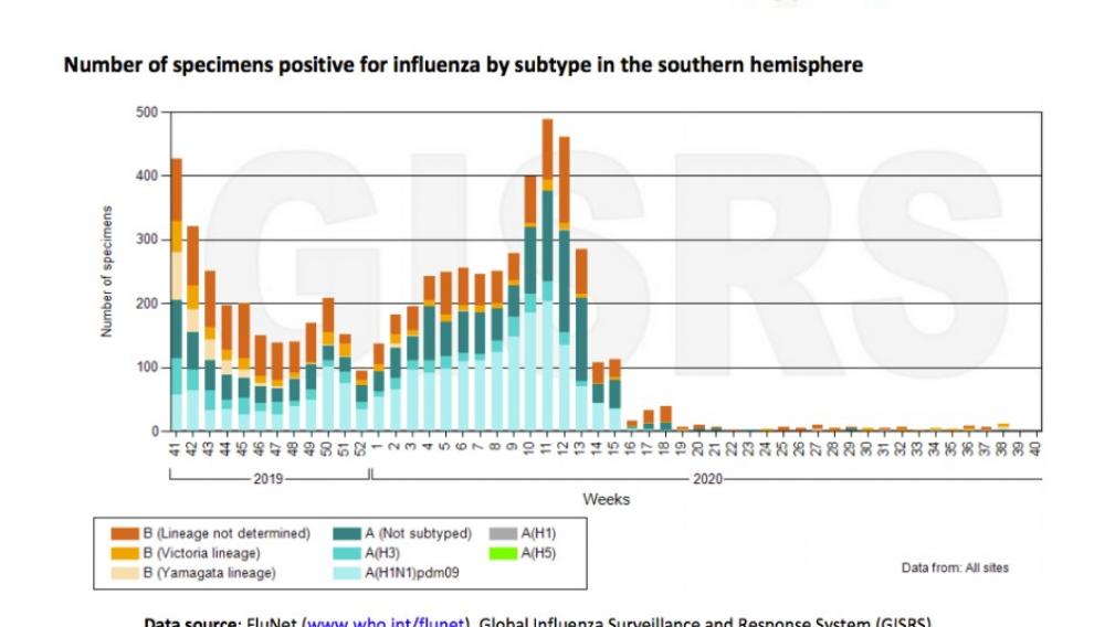 Muestras positivas de gripe en el Hemisferio Sur