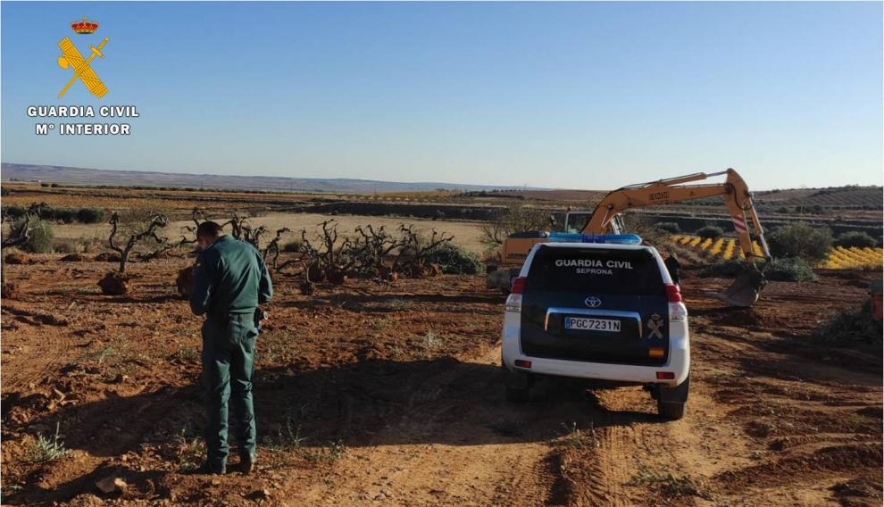 Un vehículo de la Guardia Civil en la parcela de Cosuenda (Zaragoza) donde hallaron los olivos.