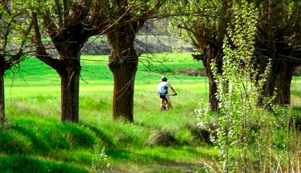 BTT en la ribera del Jiloca