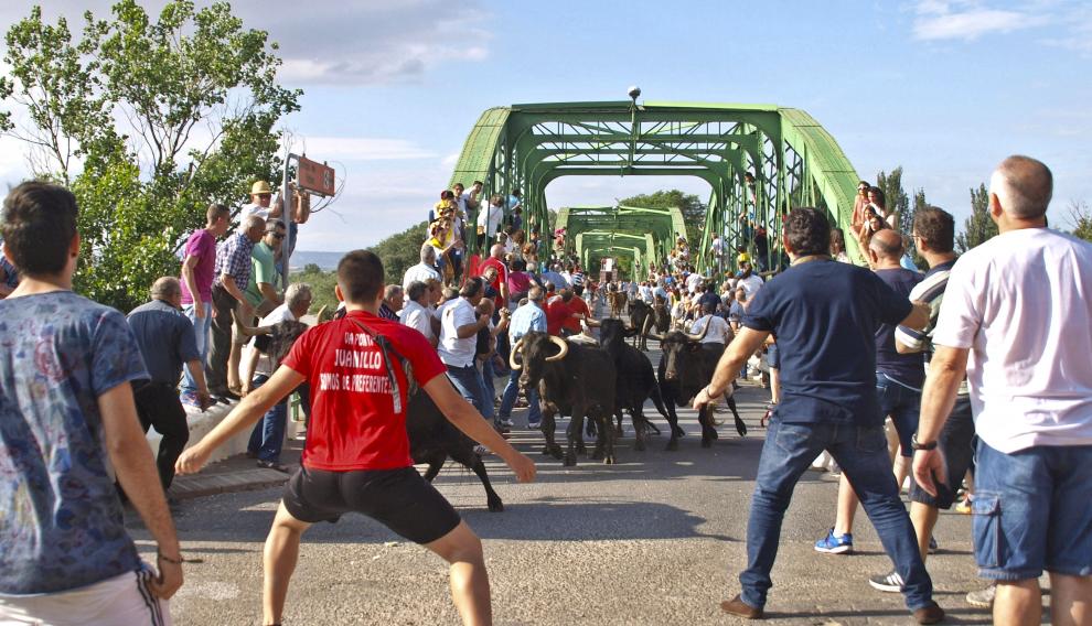 Imagen actual de la tradicional entrada de las vacas por el puente de hierro de la localidad. Es uno de los actos más esperados por los vecinos.