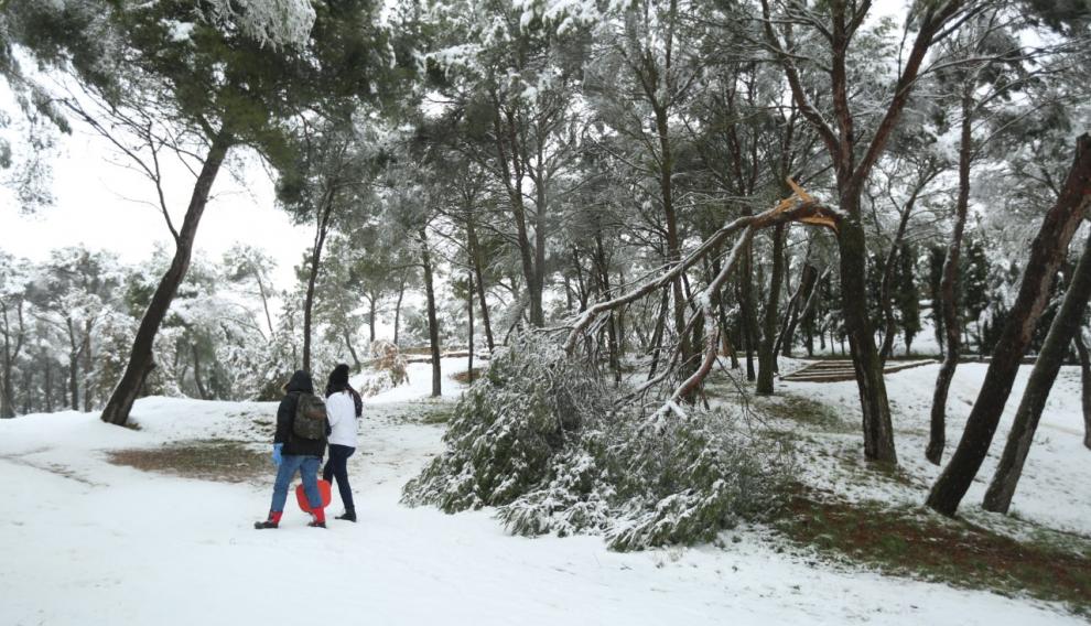 La zona arbolada del cerro de San Jorge está cerrada por la caída de ramas.