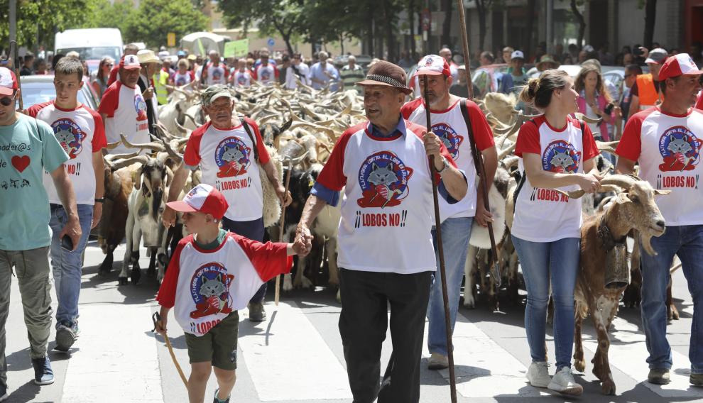 Foto de archivo de una manifestación de junio de 2019 contra la presencia del lobo y del oso en Aragón.