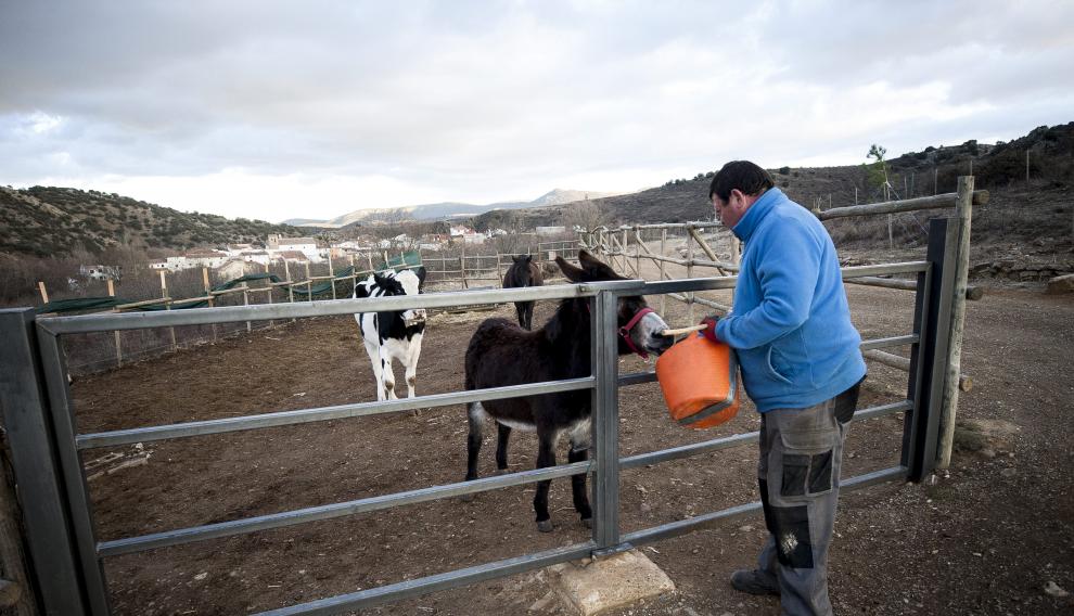 Las instalaciones del Tío Carrascón, en Cerveruela, están siendo adaptadas.
