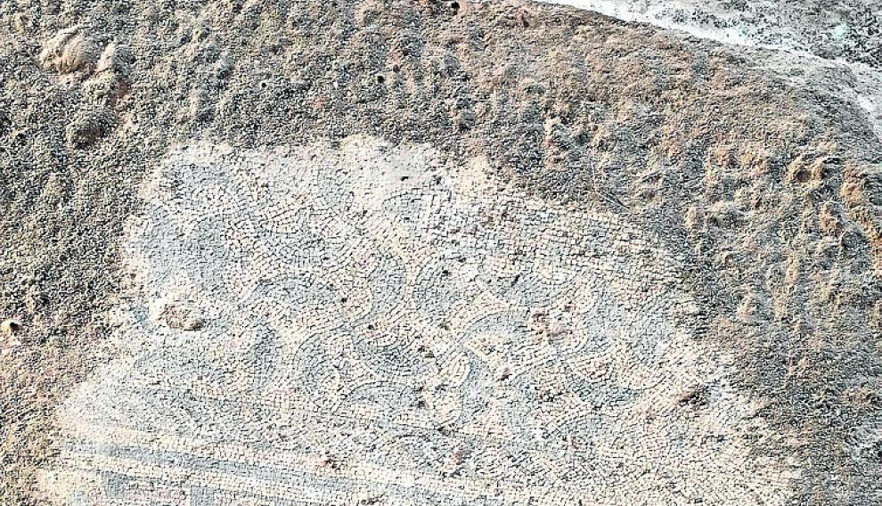 Detalle de los mosaicos con excrementos de animales