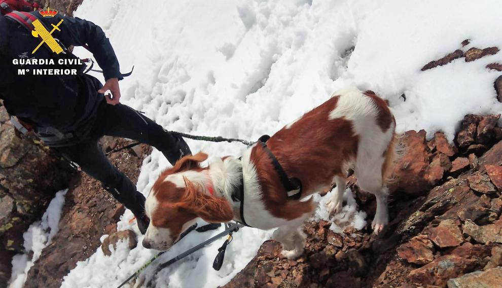 El perro cayó 20 metros por un corredor al romperse una cornisa de nieve.