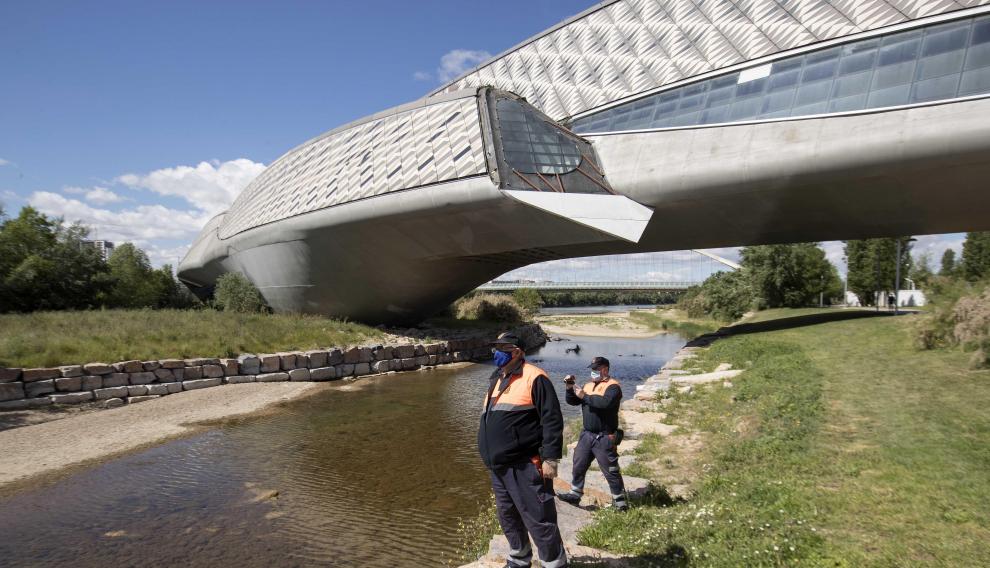 Agentes de los cuerpos policiales, Protección Civil y la Unidad Verdes examinan palmo a palmo los márgenes del Ebro
