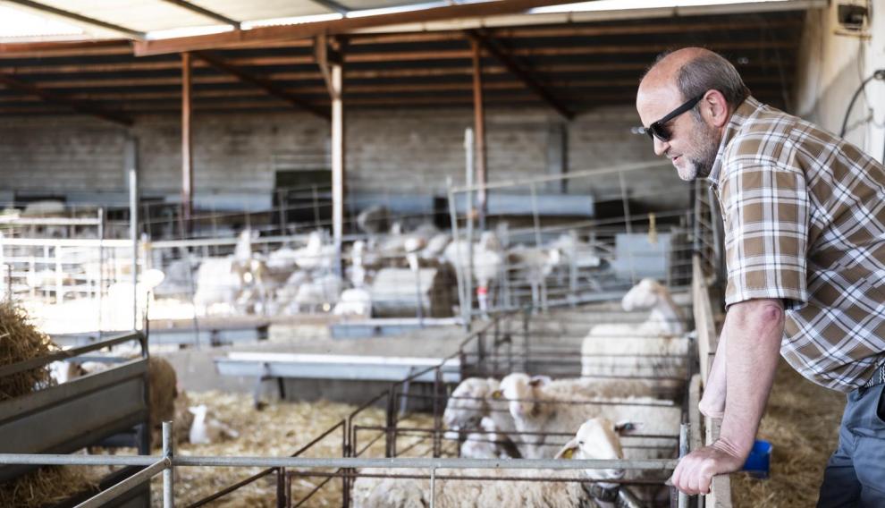 José Luis Lasheras, responsable de UAGA en la comarca de Monegros.