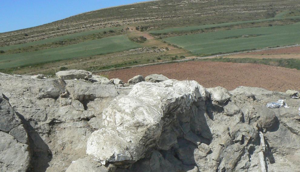 La columna vertebral, durante el proceso de confección de la 'momia' en el yacimiento.