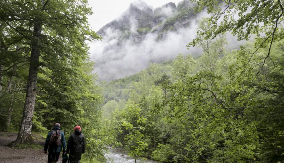 Con una superficie de 15.600 hectáreas y una afluencia que ronda los 600.000 visitantes al año, el Parque Nacional de Ordesa y Monte Perdido es la joya de la corona del Pirineo Aragonés por su belleza y la gran riqueza y diversidad de mundos naturales que atesora