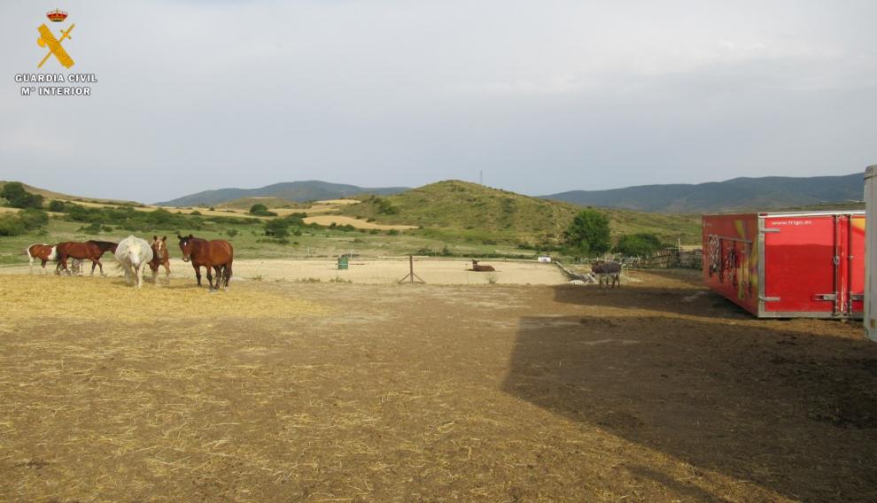 Explotación equina que ha sido denunciada por "irregularidades" en Isuerre.