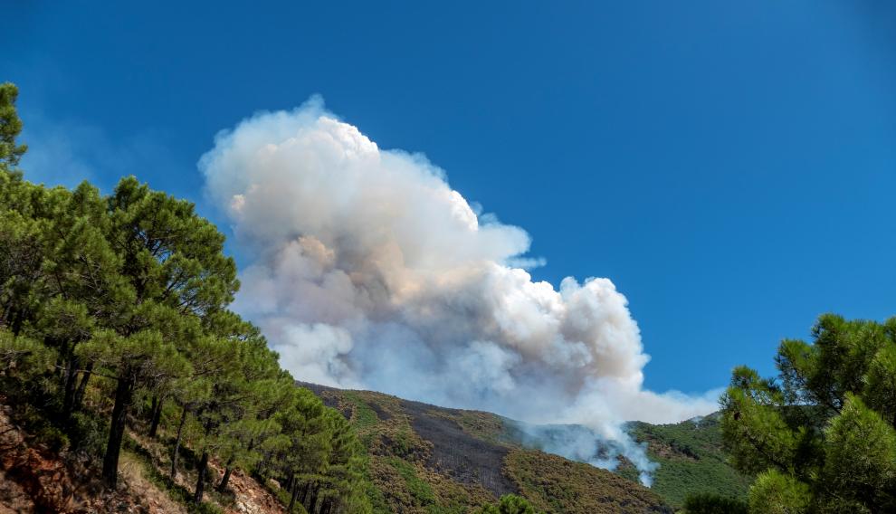 El viento mantiene activo el fuego de Sierra Bermeja y quema 2.200 hectáreas